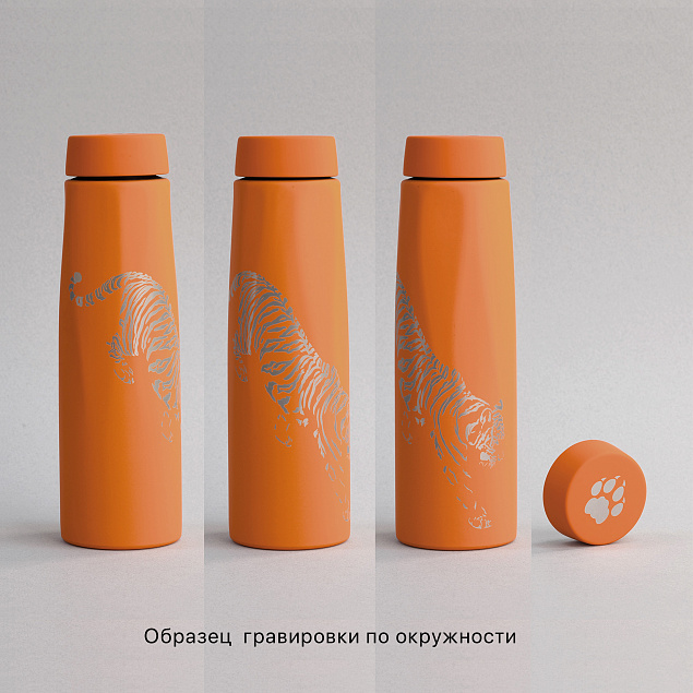 Термос "Calypso" 500 мл, покрытие soft touch, коробка с логотипом в Ставрополе заказать по выгодной цене в кибермаркете AvroraStore