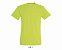 Фуфайка (футболка) REGENT мужская,Зеленое яблоко XXS с логотипом в Ставрополе заказать по выгодной цене в кибермаркете AvroraStore