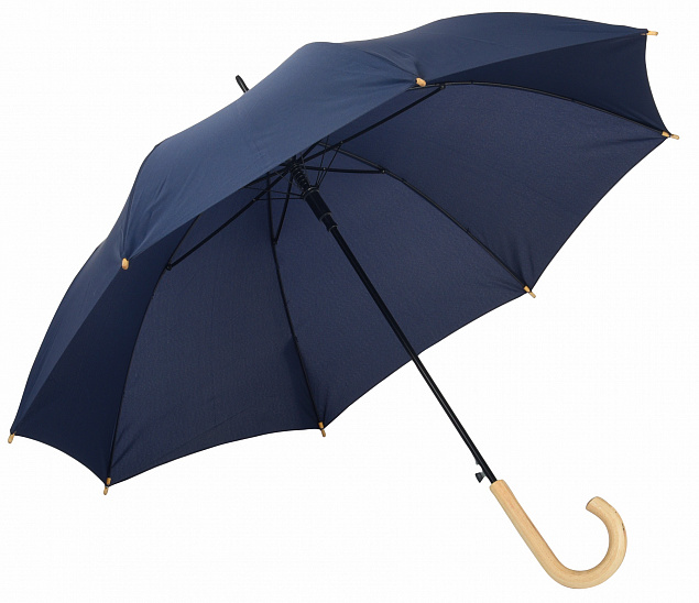 Автоматический зонт-трость LIPSI с логотипом в Ставрополе заказать по выгодной цене в кибермаркете AvroraStore
