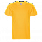 Футболка StanClass Жёлтый с логотипом в Ставрополе заказать по выгодной цене в кибермаркете AvroraStore