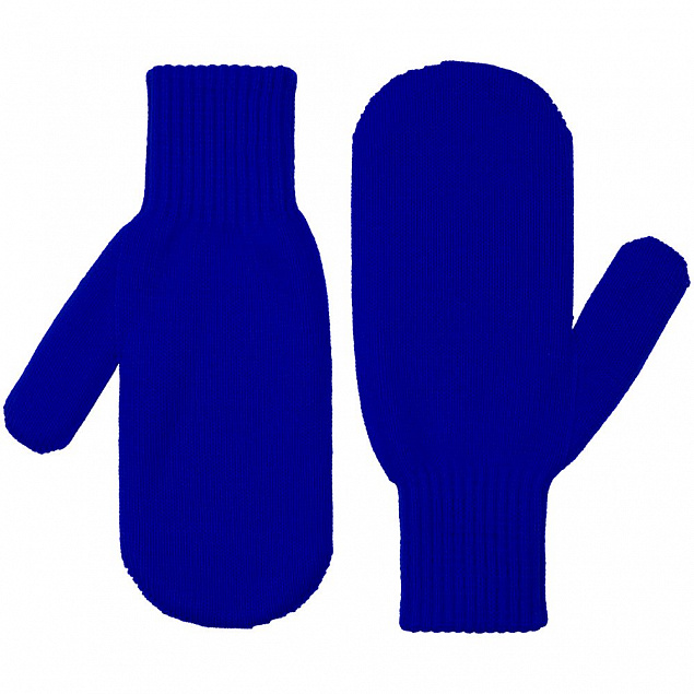 Варежки Life Explorer, синие с логотипом в Ставрополе заказать по выгодной цене в кибермаркете AvroraStore