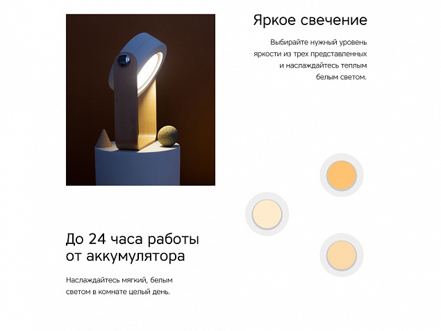 Настольная лампа LED Oko с логотипом в Ставрополе заказать по выгодной цене в кибермаркете AvroraStore