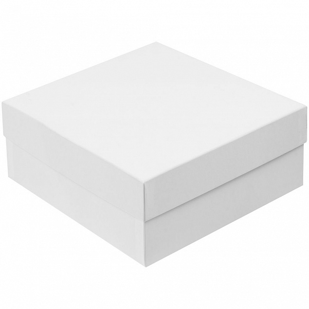 Коробка Emmet, большая, белая с логотипом в Ставрополе заказать по выгодной цене в кибермаркете AvroraStore