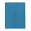 Бизнес-блокнот "Biggy", B5 формат, голубой, серый форзац, мягкая обложка, в клетку с логотипом в Ставрополе заказать по выгодной цене в кибермаркете AvroraStore