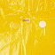 Дождевик BrightWay, желтый с логотипом в Ставрополе заказать по выгодной цене в кибермаркете AvroraStore