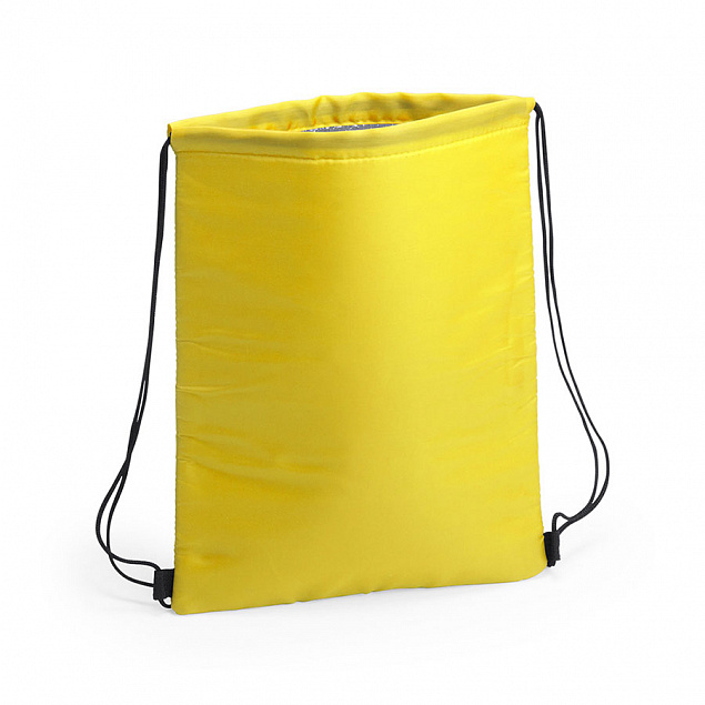 Термосумка NIPEX, желтый, полиэстер, алюминивая подкладка, 32 x 42  см с логотипом в Ставрополе заказать по выгодной цене в кибермаркете AvroraStore