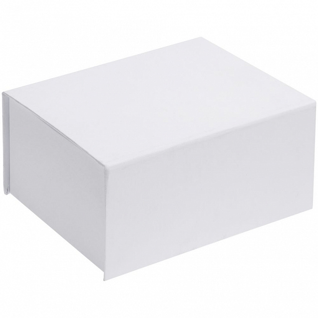 Коробка Magnus, белая с логотипом в Ставрополе заказать по выгодной цене в кибермаркете AvroraStore