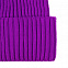 Шапка Yong, фиолетовая с логотипом в Ставрополе заказать по выгодной цене в кибермаркете AvroraStore
