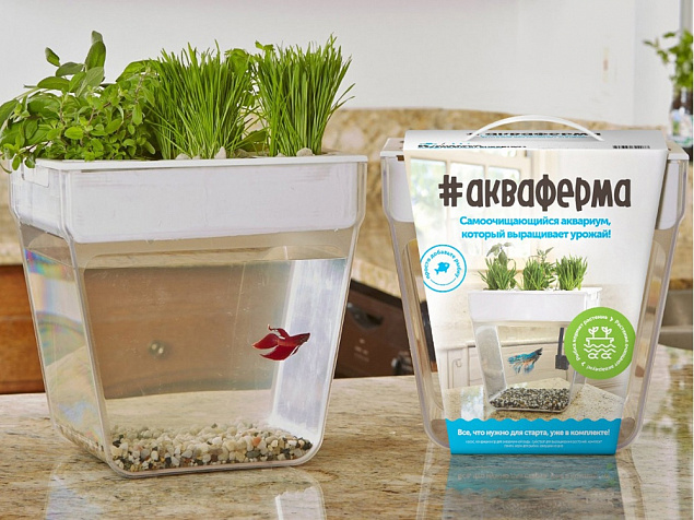 Набор для выращивания растений и ухода за рыбкой Акваферма с логотипом в Ставрополе заказать по выгодной цене в кибермаркете AvroraStore