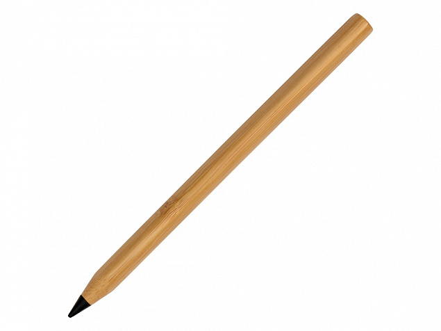 Вечный карандаш Picasso Eco с логотипом в Ставрополе заказать по выгодной цене в кибермаркете AvroraStore