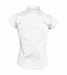 Рубашка женская с коротким рукавом EXCESS, белая с логотипом в Ставрополе заказать по выгодной цене в кибермаркете AvroraStore