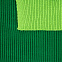 Шарф Snappy, зеленый с салатовым с логотипом в Ставрополе заказать по выгодной цене в кибермаркете AvroraStore