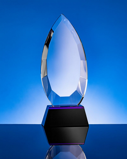Награда Droplet с логотипом в Ставрополе заказать по выгодной цене в кибермаркете AvroraStore