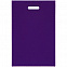 Набор Welcome Pack, фиолетовый с логотипом в Ставрополе заказать по выгодной цене в кибермаркете AvroraStore
