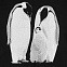 Свитшот детский Like a Penguin, черный с логотипом в Ставрополе заказать по выгодной цене в кибермаркете AvroraStore
