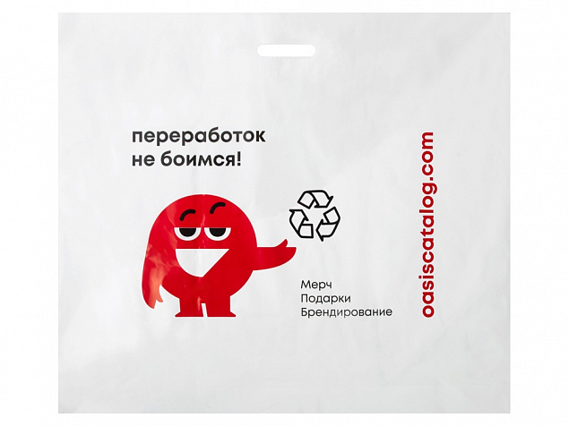 Фирменный пакет Oasis, L с логотипом в Ставрополе заказать по выгодной цене в кибермаркете AvroraStore