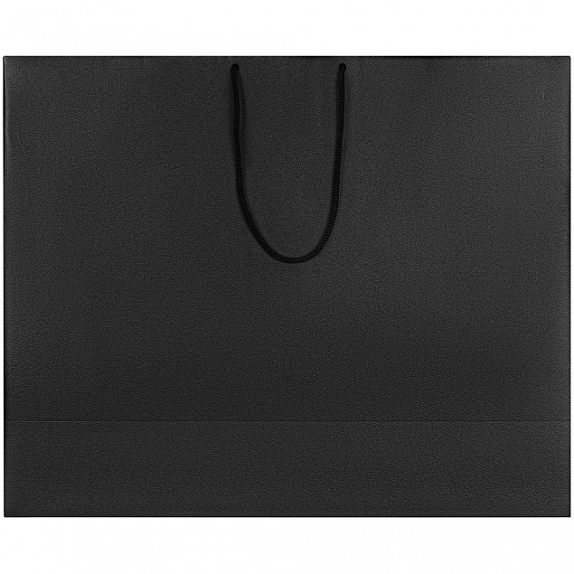 Пакет бумажный «Блеск», большой, черный с логотипом в Ставрополе заказать по выгодной цене в кибермаркете AvroraStore