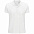 Рубашка поло мужская Planet Men, белая с логотипом в Ставрополе заказать по выгодной цене в кибермаркете AvroraStore