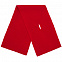 Шарф Yong, красный с логотипом в Ставрополе заказать по выгодной цене в кибермаркете AvroraStore