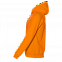 Толстовка мужская 61 Оранжевый с логотипом в Ставрополе заказать по выгодной цене в кибермаркете AvroraStore