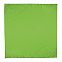 Платок-бандана BANDANA - Светло-зеленый YY с логотипом в Ставрополе заказать по выгодной цене в кибермаркете AvroraStore