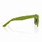 Солнцезащитные очки ECO, зеленый с логотипом в Ставрополе заказать по выгодной цене в кибермаркете AvroraStore