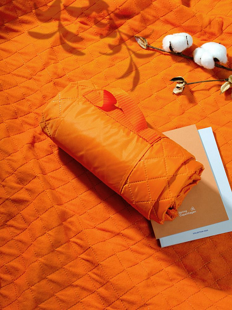 Плед для пикника Comfy, оранжевый с логотипом в Ставрополе заказать по выгодной цене в кибермаркете AvroraStore