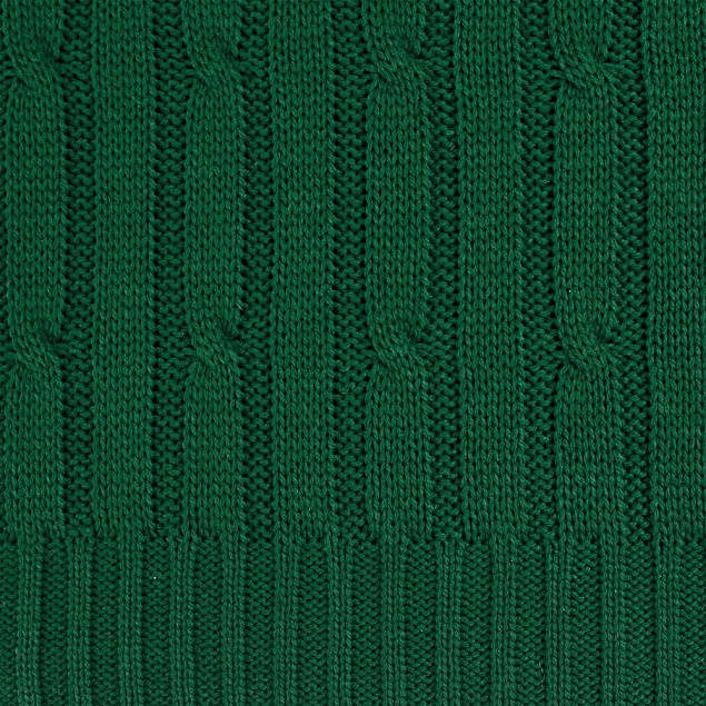 Плед Remit, темно-зеленый с логотипом в Ставрополе заказать по выгодной цене в кибермаркете AvroraStore