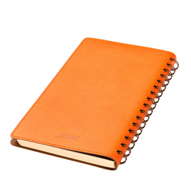 Ежедневник Portobello Trend, Vista, недатированный, оранжевый/коричневый с логотипом в Ставрополе заказать по выгодной цене в кибермаркете AvroraStore