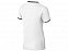 Рубашка поло "Erie" мужская с логотипом в Ставрополе заказать по выгодной цене в кибермаркете AvroraStore
