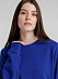Свитшот унисекс BNC Organic, ярко-синий с логотипом в Ставрополе заказать по выгодной цене в кибермаркете AvroraStore