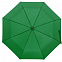 Зонт складной Monsoon, зеленый с логотипом в Ставрополе заказать по выгодной цене в кибермаркете AvroraStore
