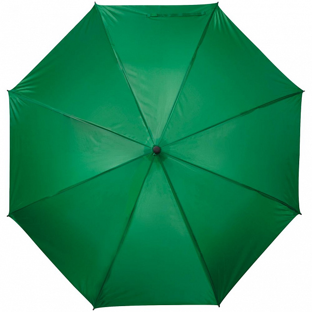 Зонт-трость Charme, зеленый с логотипом в Ставрополе заказать по выгодной цене в кибермаркете AvroraStore