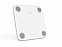Умные диагностические весы Picooc Mini Pro V2 (6924917717377), белый с логотипом в Ставрополе заказать по выгодной цене в кибермаркете AvroraStore