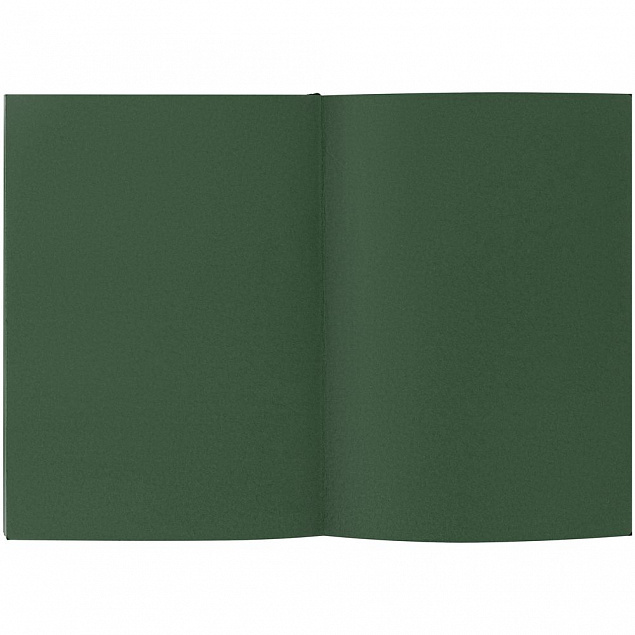 Ежедневник Flat, недатированный, зеленый с логотипом в Ставрополе заказать по выгодной цене в кибермаркете AvroraStore