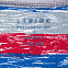 Футболка мужская RAYET двусторонняя, красная с синим с логотипом в Ставрополе заказать по выгодной цене в кибермаркете AvroraStore