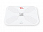Умные весы с Wi-Fi S3 Lite с логотипом в Ставрополе заказать по выгодной цене в кибермаркете AvroraStore
