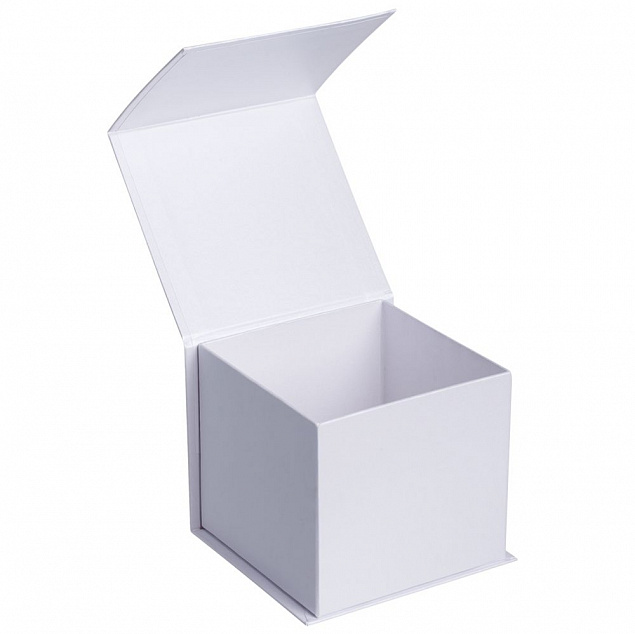 Коробка Alian, белая с логотипом в Ставрополе заказать по выгодной цене в кибермаркете AvroraStore