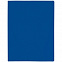 Папка с прижимом Expert, синяя с логотипом в Ставрополе заказать по выгодной цене в кибермаркете AvroraStore