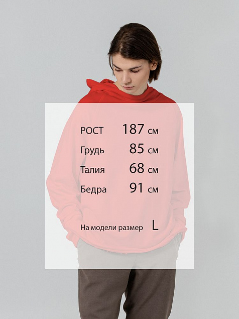 Худи Vozduh, красное с логотипом в Ставрополе заказать по выгодной цене в кибермаркете AvroraStore