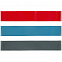 Набор эластичных лент для фитнеса Zen с логотипом в Ставрополе заказать по выгодной цене в кибермаркете AvroraStore