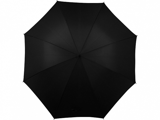 Зонт-трость Алтуна с логотипом в Ставрополе заказать по выгодной цене в кибермаркете AvroraStore