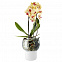 Горшок для орхидеи с функцией самополива Orchid Pot, большой, белый с логотипом в Ставрополе заказать по выгодной цене в кибермаркете AvroraStore