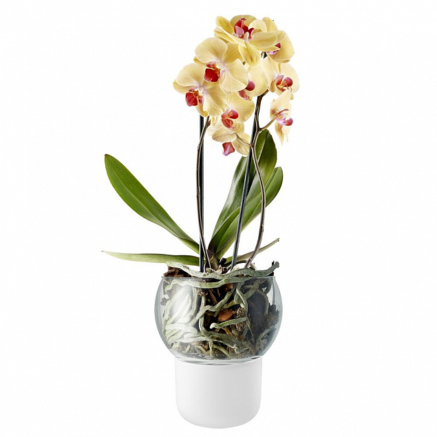 Горшок для орхидеи с функцией самополива Orchid Pot, большой, белый с логотипом в Ставрополе заказать по выгодной цене в кибермаркете AvroraStore
