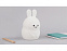 Ночник LED Rabbit с логотипом в Ставрополе заказать по выгодной цене в кибермаркете AvroraStore