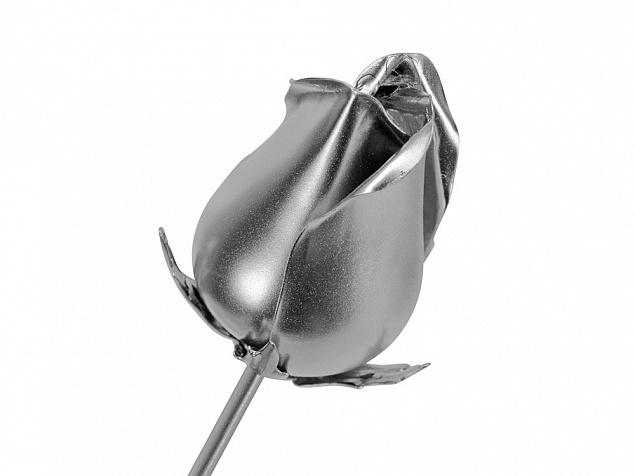 Роза с серебряным бутоном с логотипом в Ставрополе заказать по выгодной цене в кибермаркете AvroraStore