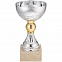 Кубок Grail, серебристый с логотипом в Ставрополе заказать по выгодной цене в кибермаркете AvroraStore