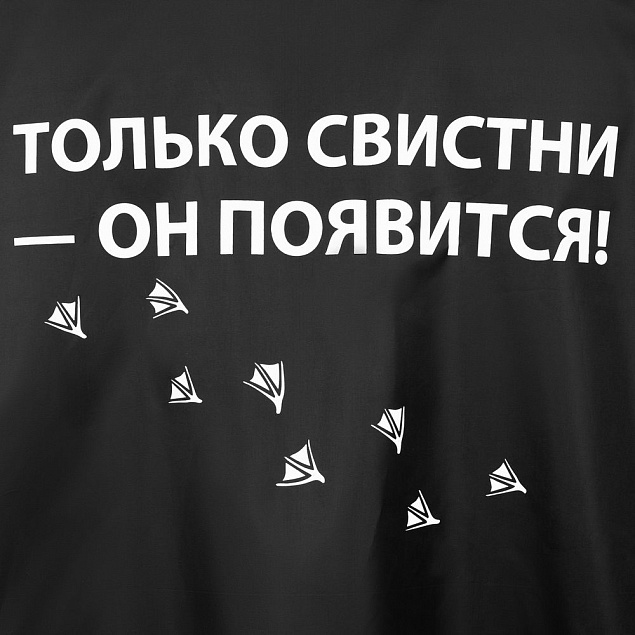 Дождевик «Только свистни», черный с логотипом в Ставрополе заказать по выгодной цене в кибермаркете AvroraStore