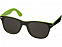 Солнцезащитные очки Sun Ray, лайм/черный (Р) с логотипом в Ставрополе заказать по выгодной цене в кибермаркете AvroraStore