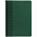 Ежедневник BRAND, недатированный, зеленый с логотипом в Ставрополе заказать по выгодной цене в кибермаркете AvroraStore